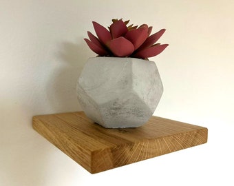 Op de afbeelding: Een kleine, geometrische, witte betonnen plantenbak met een roze succulent op een houten plank.