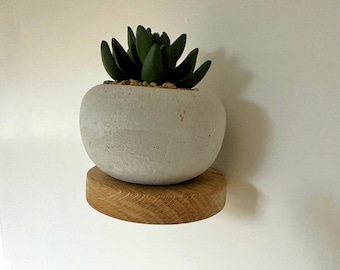 Op de afbeelding: Een kleine, ronde, witte betonnen pot met een vetplant erin, die op een houten plank staat.
