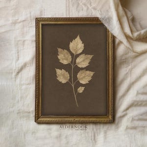 May include: A rectangular gold-toned frame containing a dark brown print of a botanical leaf illustration. The artwork features a single stem with multiple serrated leaves in a light beige color. The text ALDERNOOK ART PRINTS is visible below.