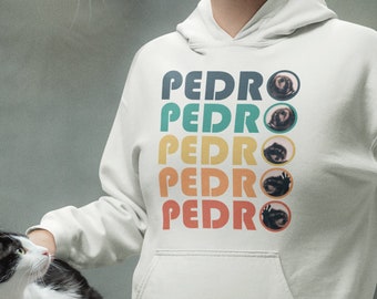 Pedro Raccoon Retro sudadera con capucha - Gráfico de mapache estilo vintage Y2K, jersey de moda TikTok, ropa de calle casual unisex