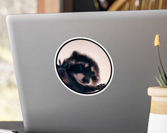 Pedro Raccoon Vinyl Kiss-Cut Stickers / funny dancing raccoon meme / Petro