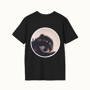 Back - Pedro dancing Racoon T-Shirt black