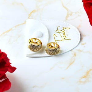 18k Gold Filled Huggie Hoop Earrings, Dainty Minimalist Hypoallergenic  Chunky hoop earrings for Sensitive Ear, Custom Birthday Gift for Her