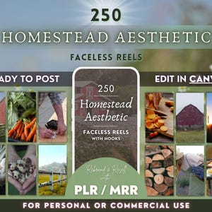 Może przedstawiać: Lista produktów cyfrowych obejmująca 250 beztwarzowych rolek z estetyką gospodarstwa domowego. Rolki są gotowe do publikacji i można je edytować w Canva. Lista zawiera tekst "Rebrand & Resell with PLR/MRR" oraz "For Personal or Commercial Use".