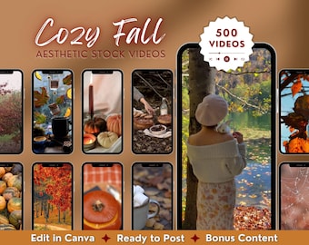 500 Reels de Otoño: Vídeos para redes sociales sin rostro con MRR/PLR (descarga digital), contenido de temporada acogedor y estético.
