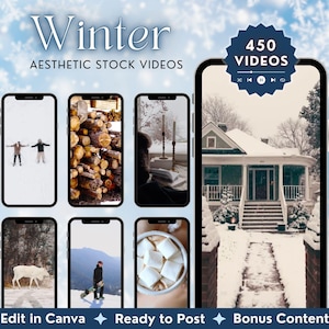 450 esthetische winterspoelen | Gezellige sneeuwvideo | Wintersport | Anonieme digitale marketing | Master-doorverkooprechten | MRR PLR | Tiktok-YouTube