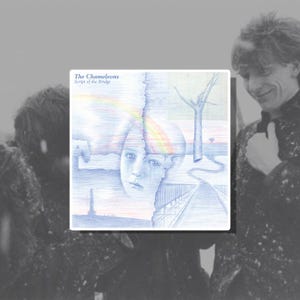 Puede incluir: Portada del álbum "Script of the Bridge" de The Chameleons. La obra de arte es un dibujo a lápiz azul de una cara dividida por la mitad, con un arcoíris y un puente. El nombre de la banda y el título del álbum están en la esquina superior izquierda.