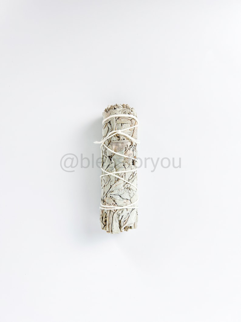 White Sage California Smudge Stick Herb 4 Energy Air Cleansing, Mood Boost image 4