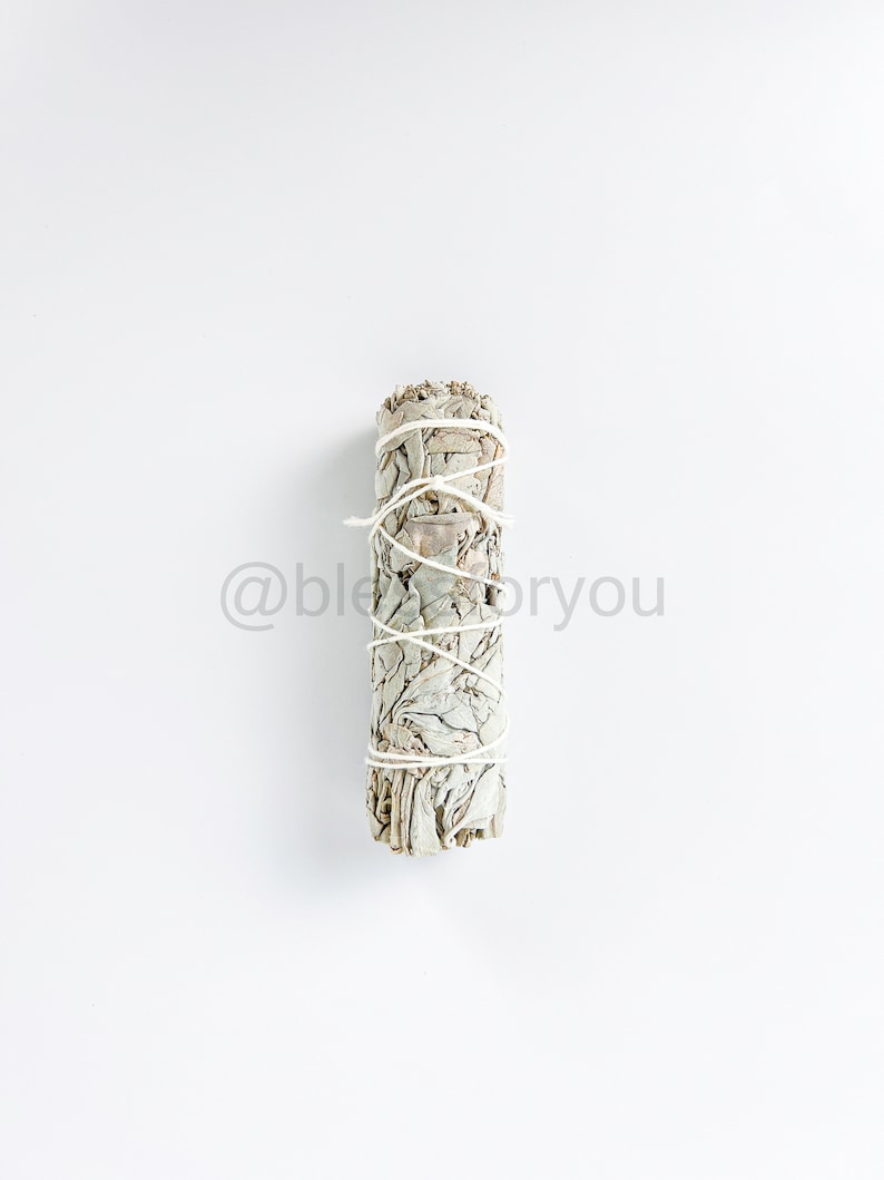 White Sage California Smudge Stick Herb 4 Energieluchtreiniging, stemmingsboost afbeelding 4