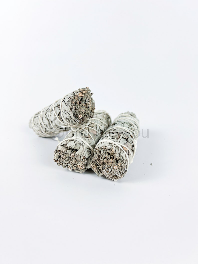 White Sage California Smudge Stick Herb 4 Energy Air Cleansing, Mood Boost image 2