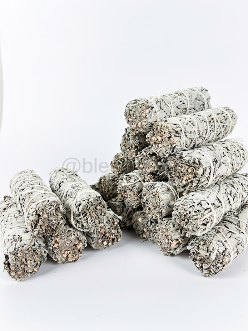 White Sage California Smudge Stick Herb 4 Energy Air Cleansing, Mood Boost image 7