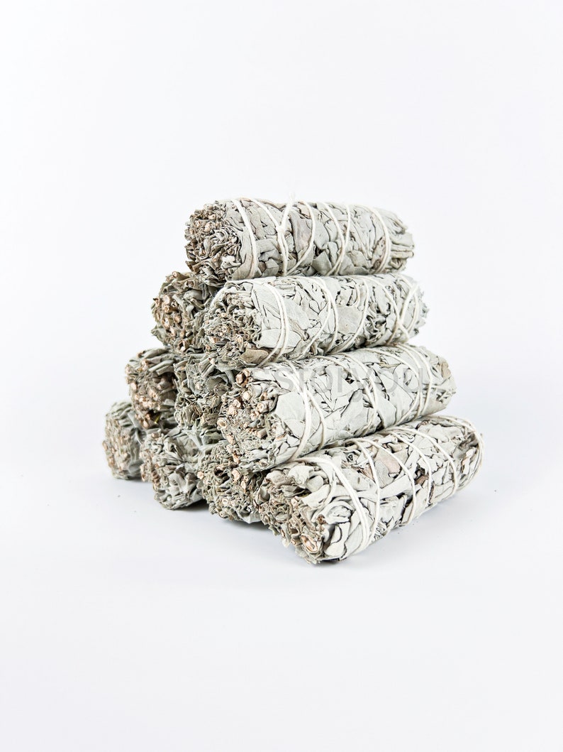 White Sage California Smudge Stick Herb 4 Energieluchtreiniging, stemmingsboost afbeelding 5