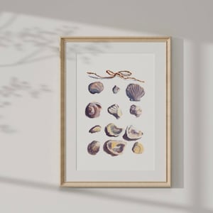 Pu&ograve; includere: Una stampa incorniciata di un dipinto ad acquerello di varie conchiglie in tonalit&agrave; di viola, marrone e giallo. Le conchiglie sono disposte in una linea verticale su uno sfondo bianco.