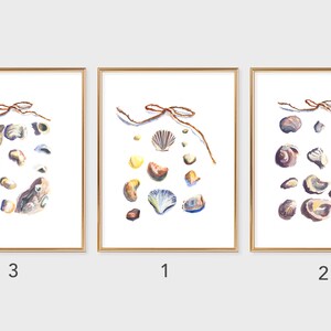 Pu&ograve; includere: Tre stampe incorniciate di dipinti ad acquerello di conchiglie. Ogni stampa presenta una diversa disposizione di conchiglie, tra cui ostriche, vongole e capesante. Le stampe sono appese a una parete bianca con una cornice dorata.