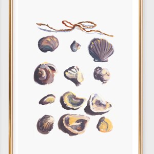 Pu&ograve; includere: Un dipinto incorniciato di una collezione di conchiglie di varie forme e dimensioni. Le conchiglie sono dipinte in tonalit&agrave; di marrone, viola e bianco e sono disposte in uno schema casuale su uno sfondo bianco. Un pezzo di spago con un fiocco si trova nella parte superiore del dipinto.
