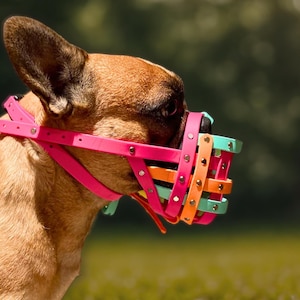 Bozal de hocico corto para perros de raza Bull / Ajuste cómodo y ajustable / Bozal impermeable hecho a mano y personalizado