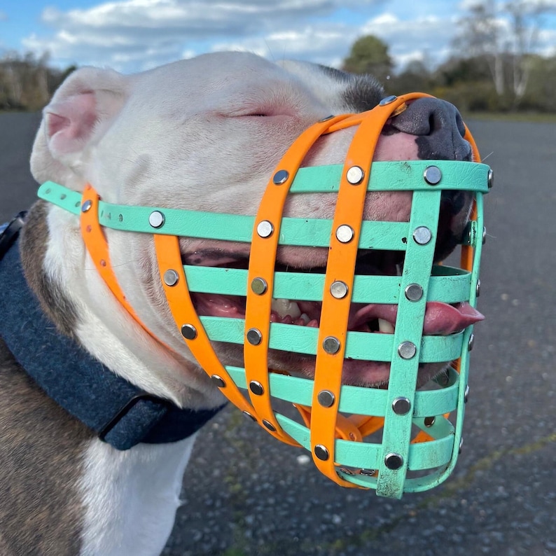 Custom Dog Muzzle for Large & XL Breeds – Comfortable, Secure, Waterproof Biothane Muzzle | Handmade with Optional Treat Hole