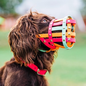 Friendly Biothane Dog Muzzle – Design Your Own Colorful, Adjustable, Waterproof Muzzle | Handmade for All Breeds
