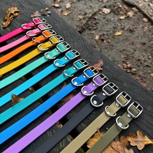 May include: A selection of brightly coloured dog collars, including pink, orange, yellow, green, blue, purple, black, and beige. Each collar has a silver buckle and D-ring. The collars are displayed on a dark wooden surface.