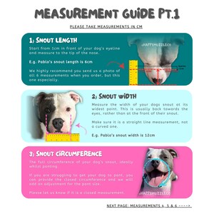 Short Snout Dog Muzzle for Bull Breeds | Comfortable Adjustable Fit ...