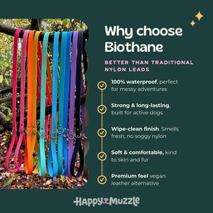 Puede incluir: Una exhibici&oacute;n de correas para perros Biothane de colores colgando de una rama. Las correas vienen en varios colores, incluyendo rosa, naranja, turquesa, azul, morado y negro. El texto a la derecha destaca caracter&iacute;sticas como impermeable, fuerte, f&aacute;cil de limpiar, suave y cuero vegano.