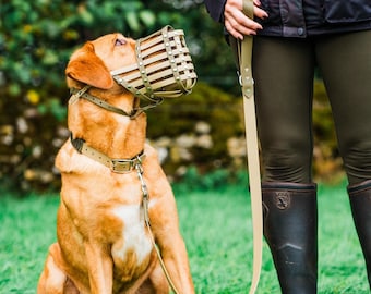 Muselière confortable en biothane pour chiens de taille moyenne à très grande, ajustable, imperméable et résistante