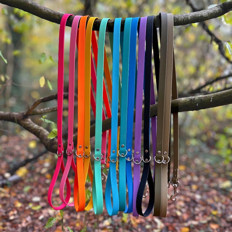 Puede incluir: Una colecci&oacute;n de correas para perros de colores vibrantes, en tonos rosa, naranja, turquesa, azul, morado, negro y marr&oacute;n, colgadas de una rama de &aacute;rbol. Cada correa tiene un asa a juego y herrajes plateados.