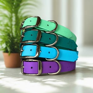 Fancy Dog Collar – Premium Biothane, Stylish, Waterproof & Handmade in the UK