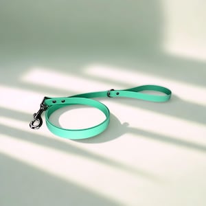 Puede incluir: Una correa para perros de color verde menta con un asa a juego y un cierre de metal plateado. La correa est&aacute; hecha de un material liso y duradero y est&aacute; dise&ntilde;ada para un manejo c&oacute;modo. La correa se muestra sobre una superficie blanca.
