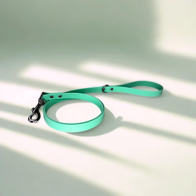 Puede incluir: Una correa para perros de color verde menta con un asa a juego y un cierre de metal plateado. La correa est&aacute; hecha de un material liso y duradero y est&aacute; dise&ntilde;ada para un manejo c&oacute;modo. La correa se muestra sobre una superficie blanca.