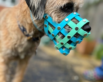 Custom Biothane Dog Muzzle: Adjustable, Colorful, With Optional