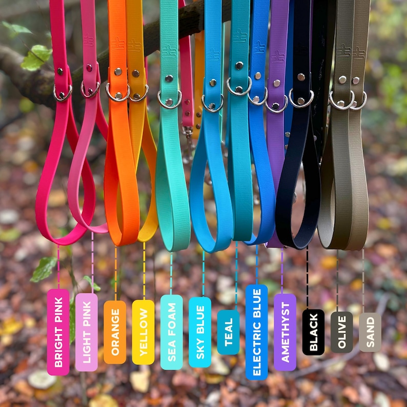 Puede incluir: Una colecci&oacute;n de correas para perros de colores vibrantes, incluyendo rosa brillante, naranja y turquesa, colgadas de una rama de &aacute;rbol. Cada correa tiene un cierre met&aacute;lico y una etiqueta con el nombre del color. Dise&ntilde;adas para due&ntilde;os de mascotas.