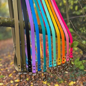 Puede incluir: Una colecci&oacute;n de correas para perros de colores, en varios tonos, incluyendo verde oliva, negro, morado, azul y rosa. Cada correa est&aacute; hecha de un material duradero y cuenta con un cierre de metal para una sujeci&oacute;n segura al collar. Las correas cuelgan de una rama.