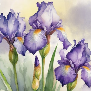 Tarjetas de lirios y tulipanes, 6 x 4 pulgadas