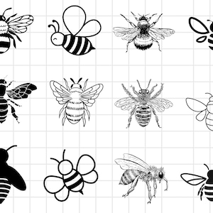 Op de afbeelding: Een verzameling van 12 zwart-witte bijenillustraties. De bijen zijn in verschillende stijlen getekend, sommige met uitgespreide vleugels, sommige met gevouwen vleugels en sommige met gedetailleerde markeringen.