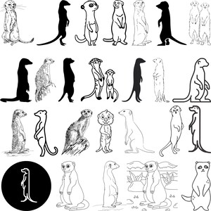May include: A collection of black and white line drawings of meerkats in various poses. Some meerkats are standing upright, while others are sitting or lying down. The meerkats are drawn in a simple, cartoonish style.