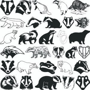 May include: A collection of black and white illustrations of badgers in various poses. The illustrations are in a simple, cartoon style and feature different angles and perspectives of the animal.