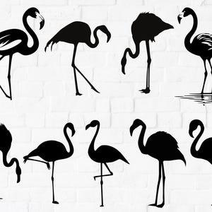 Flamingo SVG | Bird SVG | Flamingo SVG Bundle | Flamingo Cut File | Flamingo Clipart | Flamingo Silhouette | Bird Cut File | Bird Clipart