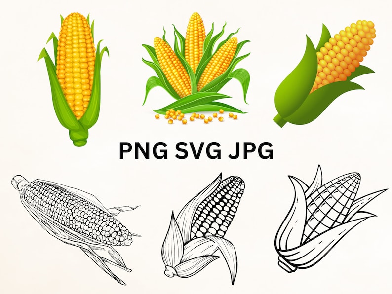 Corn Bundle SVG, Corn Svg, Corn Svg Cricut Shirt, Corn Farmer Svg, Corn ...