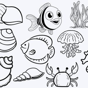 Seashell SVG, Seashell Cricut, Seashell Cut Files, Seashell Silhouette, Digital download, Sea shells Svg, Sea shell Cricut, Beach Svg