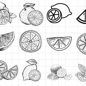 Lemon Svg Bundle, Lemon Cricut, Lemon Vector File, Lemon Svg Friut, Lemon Silhouette, Lemon Slice Svg, Lemons Svg, Lemon Cut File,Summer
