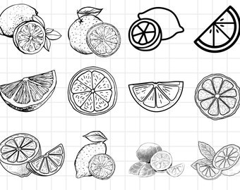 Paquete svg de limón, cricut de limón, archivo vectorial de limón, friut svg de limón, silueta de limón, svg de rodaja de limón, svg de limones, archivo de corte de limón, verano