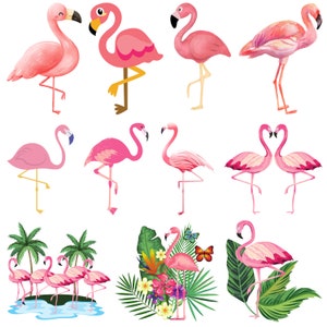 Könnte beinhalten: Eine Sammlung von Illustrationen von rosa Flamingos. Einige Flamingos stehen auf einem Bein, während andere auf zwei Beinen stehen. Einige Flamingos haben eine Herzform. Einige Flamingos befinden sich in einer tropischen Umgebung mit Palmen und Blumen.