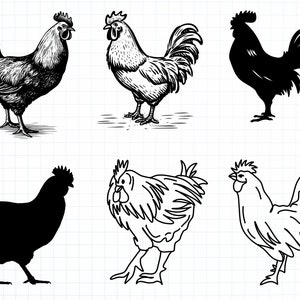 May include: A set of six black and white illustrations of roosters and hens. The illustrations are in a vintage style and feature detailed linework. The roosters have large combs and wattles, and the hens have rounded bodies and short tails.