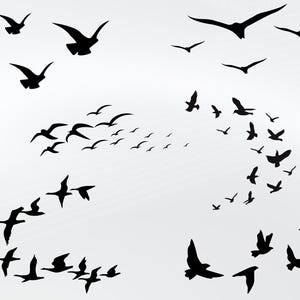 Flock of Birds svg bundle\ SVG\ JPG\ PNG\ Commercial Use\ Digital Cut Files for Cricut\ Silhouette\ Transparent Background\ Flying Bird