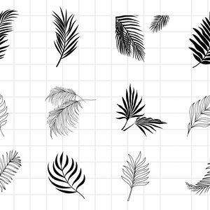Palm Leaf SVG, Palm Leaves Svg, Hand Drawn Leaves Svg, Palm Leaf Cricut, Palm Leaf Bundle, Tropical Leaf Cut File, Tropical Leaves Clipart