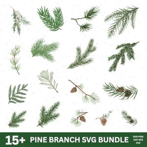 以下が含まれることがあります： 白い背景に、緑色の松の枝のイラストのコレクション。松ぼっくりが付いているものもあります。さまざまな枝のスタイルとサイズが含まれています。下部のテキストは「15+ PINE BRANCH SVG BUNDLE」です。