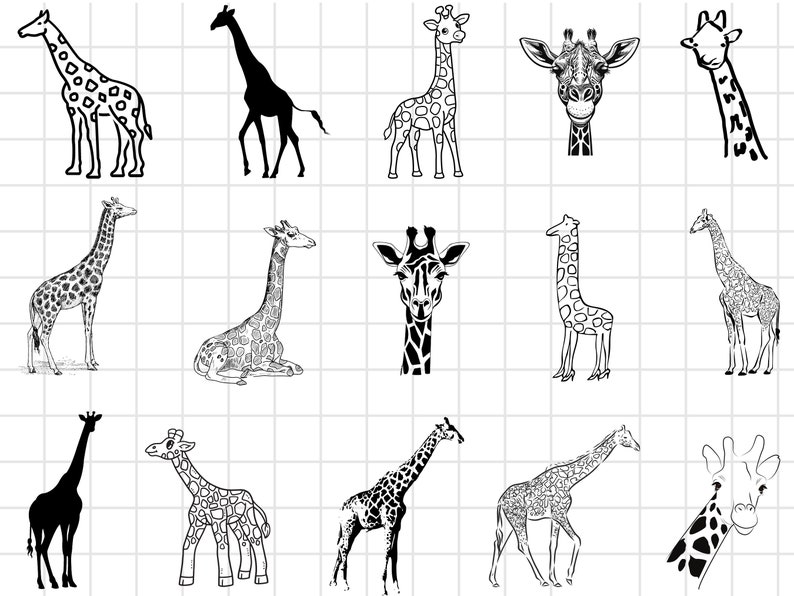 Giraffe SVG Bundle, Giraffe Face SVG, Wild Life Svg, Africa Animal Svg ...