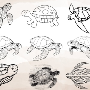 Turtle svg bundle, Sea turtle svg, Cute sea turtle svg, baby turtle svg, Ocean Turtle svg, Turtle cut files for cricut