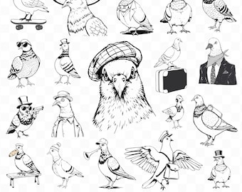 Pigeon svg bundle, Pigeon Png, Funny Pigeon Shirt, Pigeon meme, pliki do cięcia pigeon, pliki Svg dla cricut, Funny meme, Digital Download